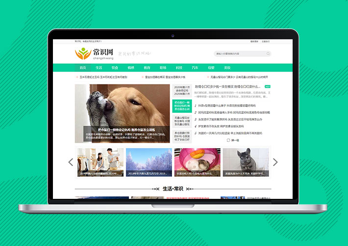 自媒體新聞資訊Eyoucms網(wǎng)站模板帶手機(jī)端